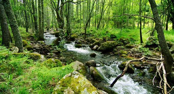 Ruralrut-El Tiemblo Wifi, Cabina De Hidromasaje, Aire Acondicionado Y A Pocos Metros De Zonas De Bano Naturales Eksteriør billede