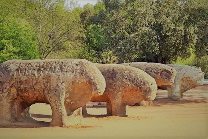 Ruralrut-El Tiemblo Wifi, Cabina De Hidromasaje, Aire Acondicionado Y A Pocos Metros De Zonas De Bano Naturales Eksteriør billede